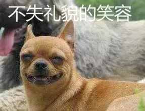 狗狗夜里总乱叫这一招真的灵,夜里狗狗乱叫是怎么回事