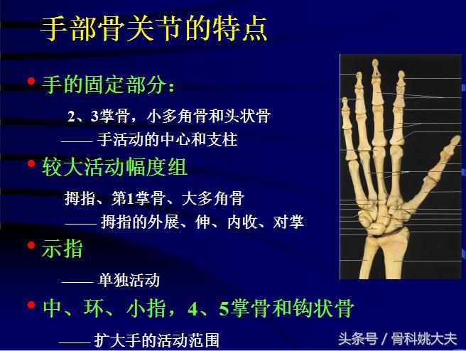 手肌腱损伤图片,手外伤神经肌腱损伤怎么定残
