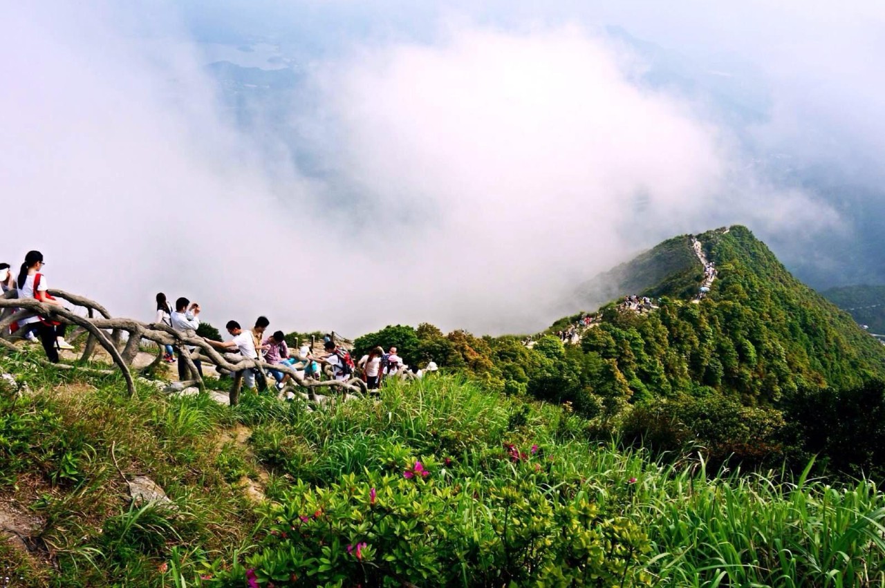 鹏城第一峰梧桐山要不要门票,鹏城第一峰梧桐山是大梧桐吗