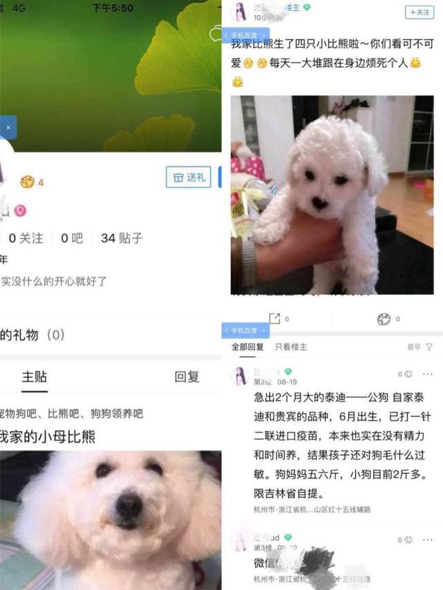 网上买狗狗3000多块靠谱吗,网上买的狗狗是骗子吗