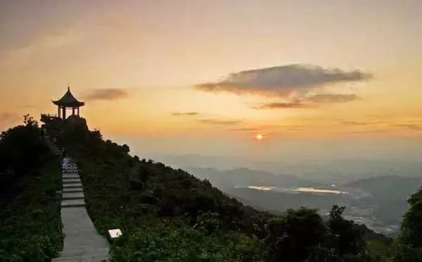 鹏城第一峰梧桐山要不要门票,鹏城第一峰梧桐山是大梧桐吗