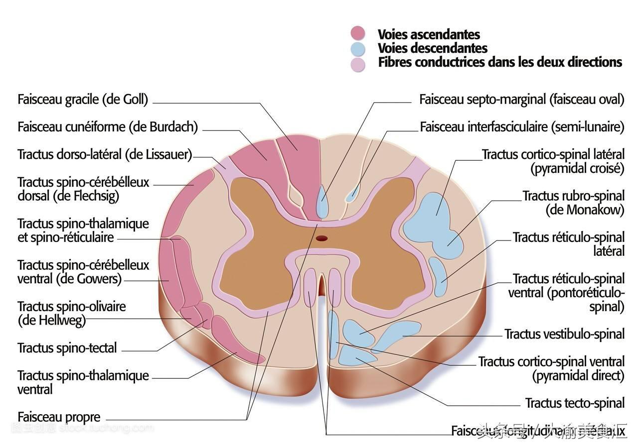 玩3d游戏头晕怎么办,玩第一人称3d游戏头晕