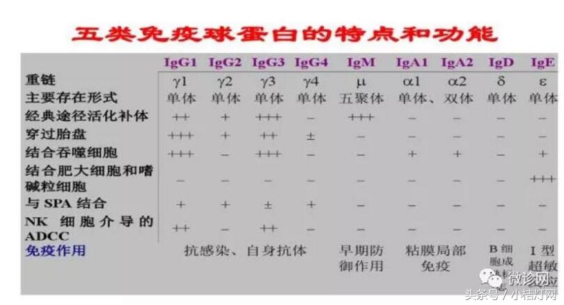 ivd产品分析,ivd产品核心技术