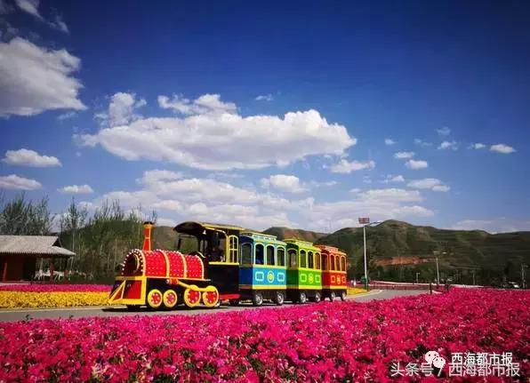 青海人采访,嘿青海歌曲