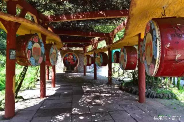 为何不要随便去雅安？