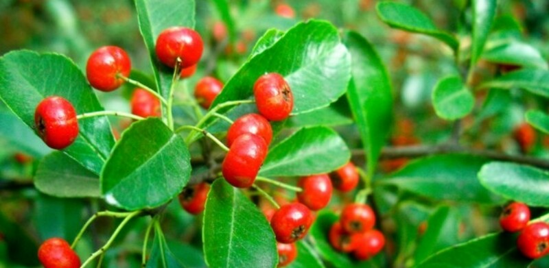 辽宁17岁少女,辽宁叛逆少年成长教育