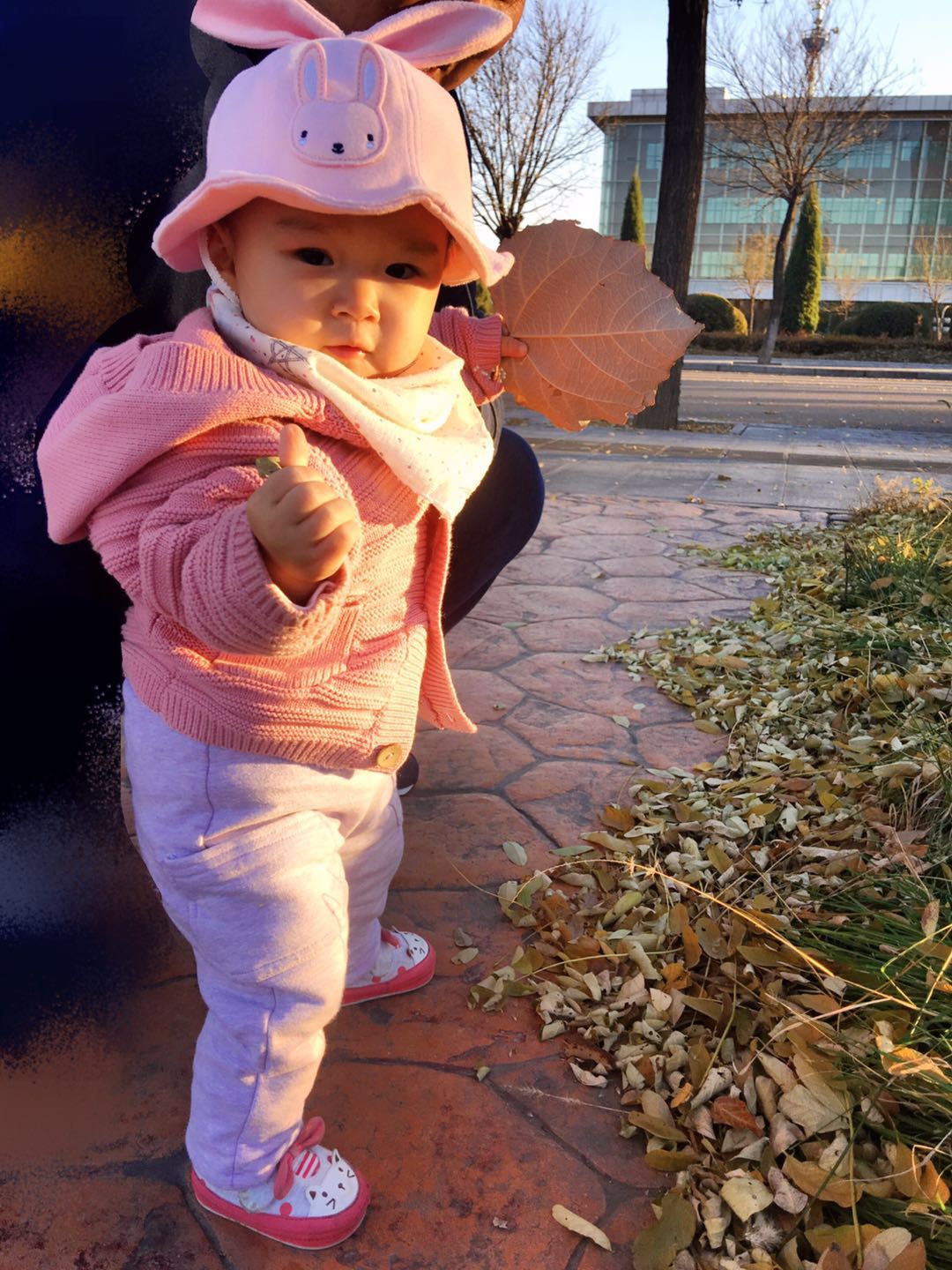 手机摄影作品赏析,手机摄影作品也可以美不胜收