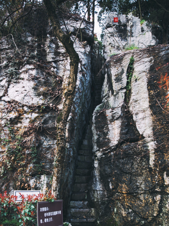 苏州旅游攻略两日游自由行,苏州旅游攻略2-3天自由行