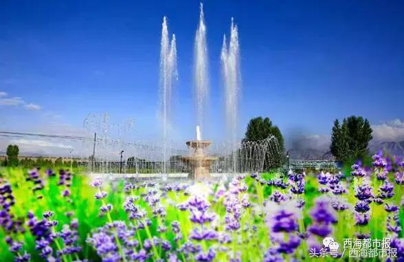 青海人采访,嘿青海歌曲