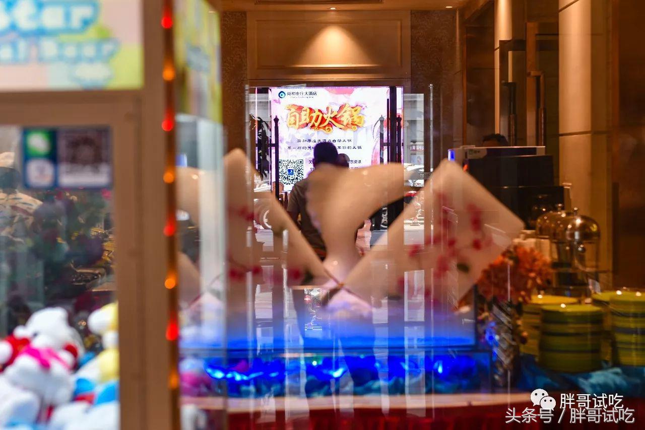 胖哥枣庄辣子鸡,枣庄胖哥吃龙虾视频