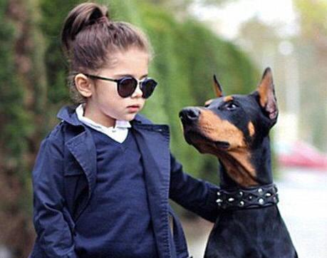 如何饲养杜宾犬,杜宾犬饲养方法和关注事项