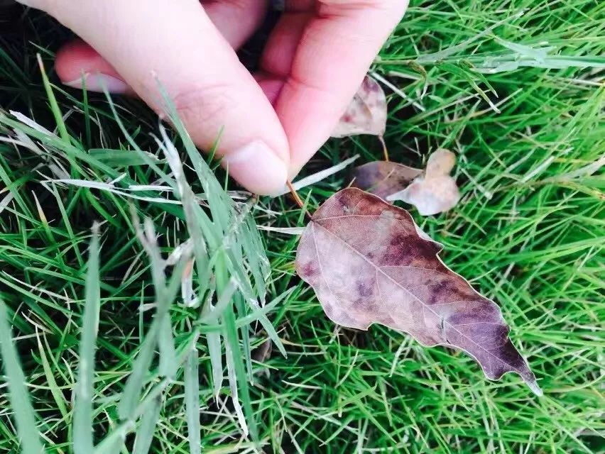 手机摄影作品赏析,手机摄影作品也可以美不胜收