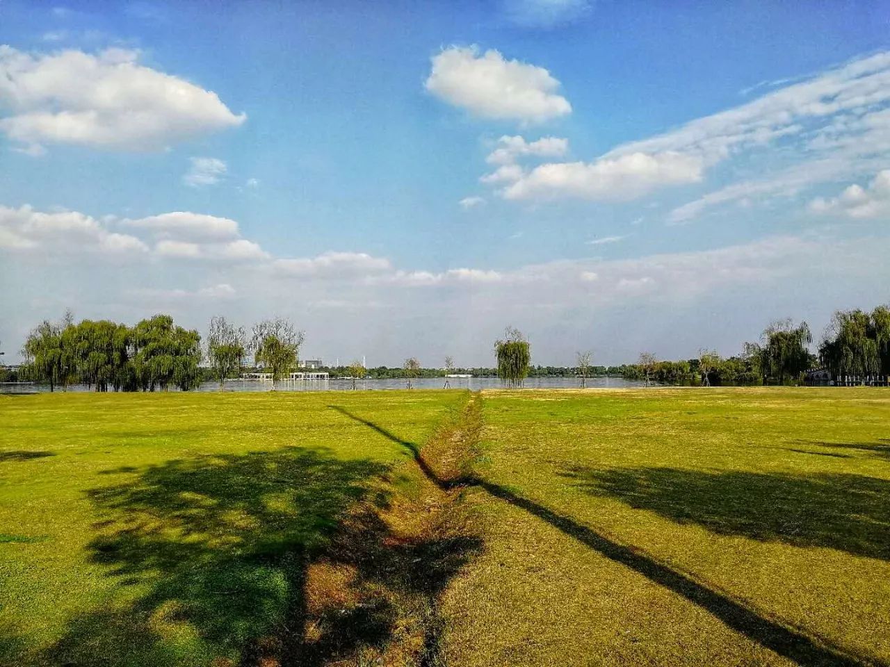 手机摄影作品赏析,手机摄影作品也可以美不胜收