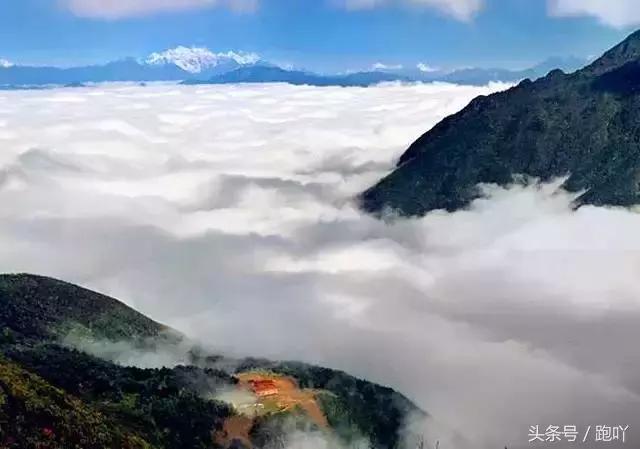 为何不要随便去雅安？