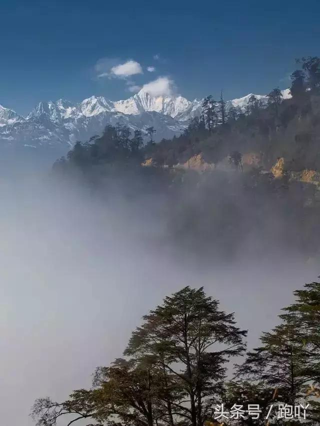 为何不要随便去雅安？