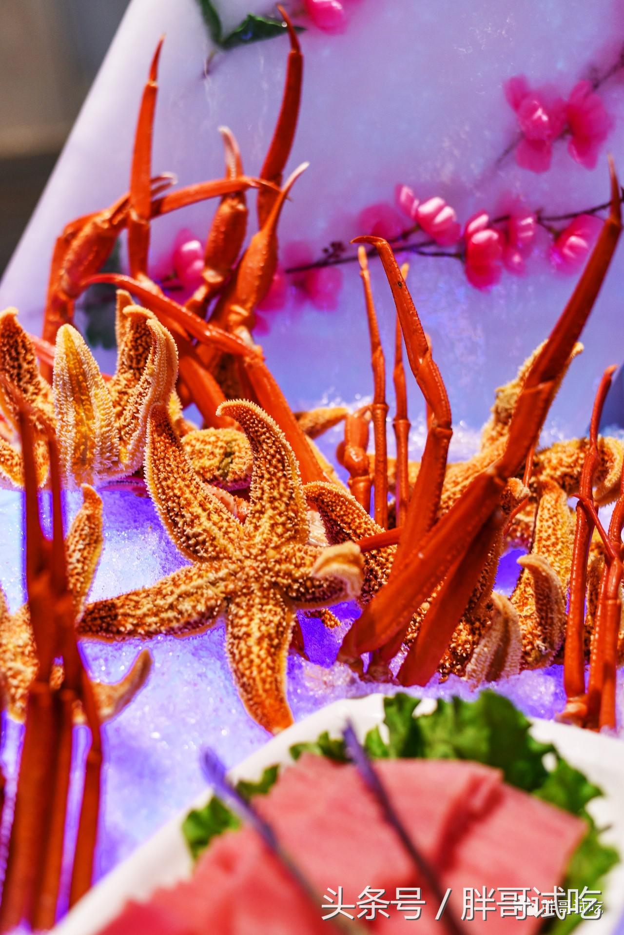 胖哥枣庄辣子鸡,枣庄胖哥吃龙虾视频