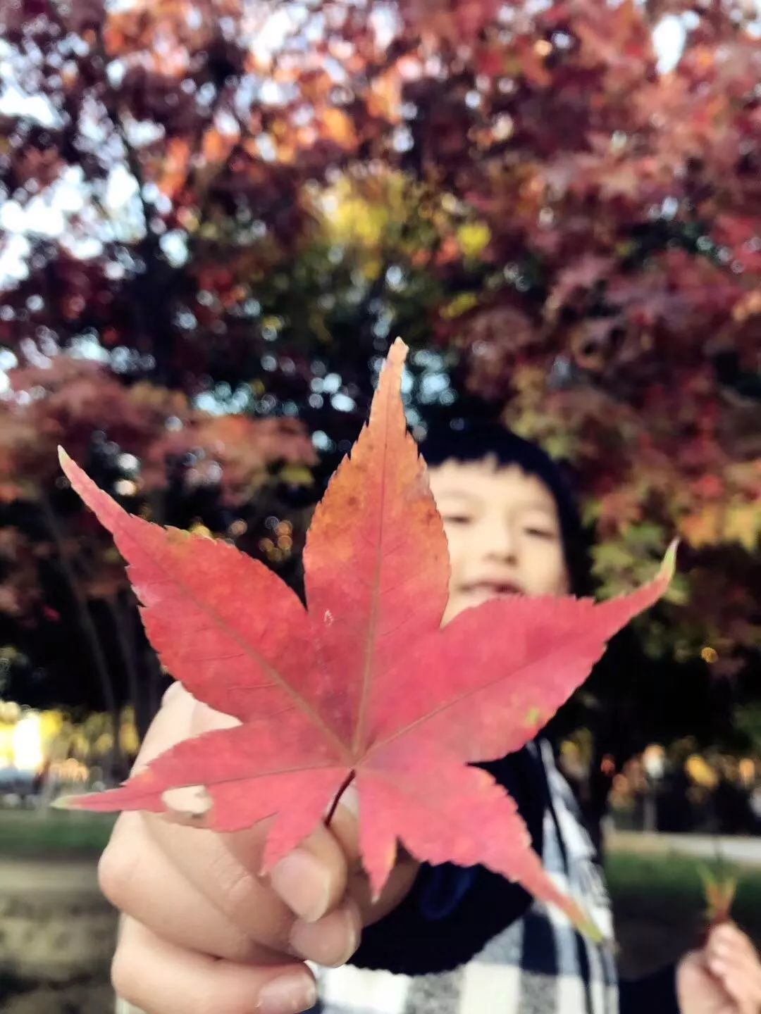 手机摄影作品赏析,手机摄影作品也可以美不胜收