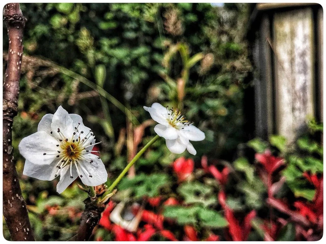 手机摄影作品赏析,手机摄影作品也可以美不胜收