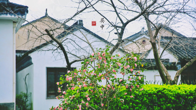 苏州旅游攻略两日游自由行,苏州旅游攻略2-3天自由行