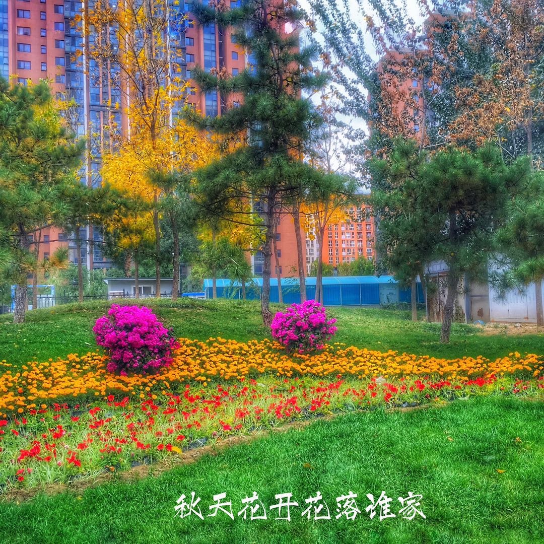 手机摄影作品赏析,手机摄影作品也可以美不胜收