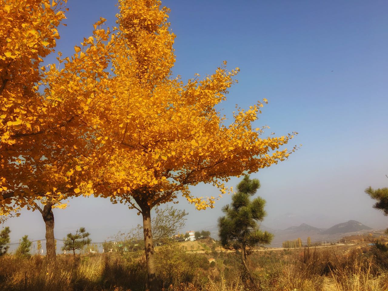 手机摄影作品赏析,手机摄影作品也可以美不胜收