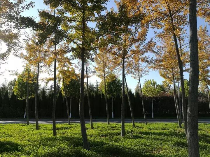 手机摄影作品赏析,手机摄影作品也可以美不胜收