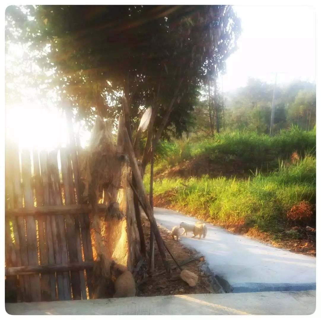 手机摄影作品赏析,手机摄影作品也可以美不胜收