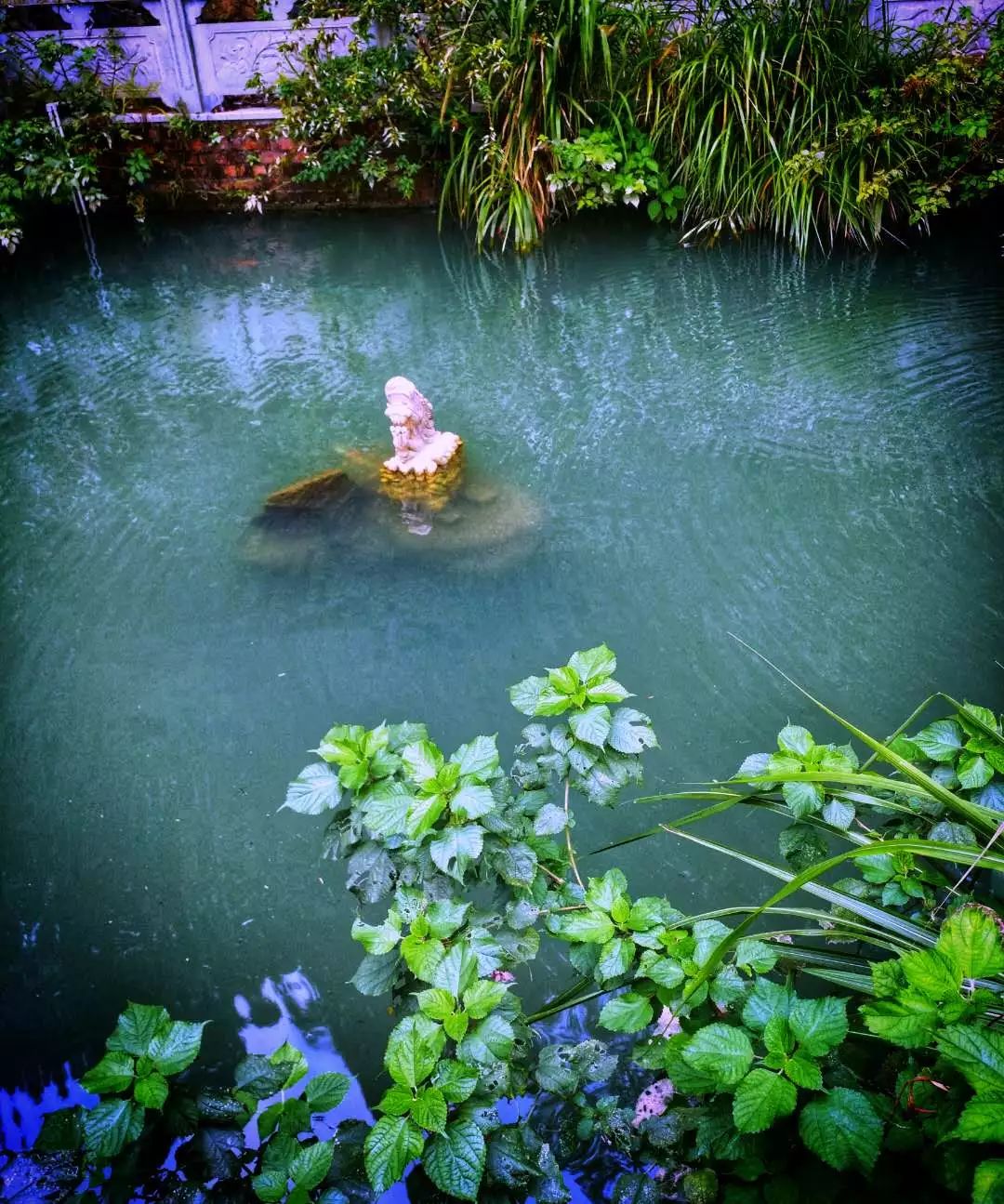 手机摄影作品赏析,手机摄影作品也可以美不胜收