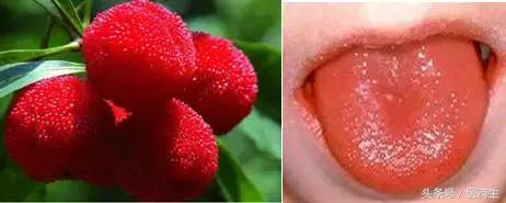 舌尖上的中医药论文,舌尖上的医疗