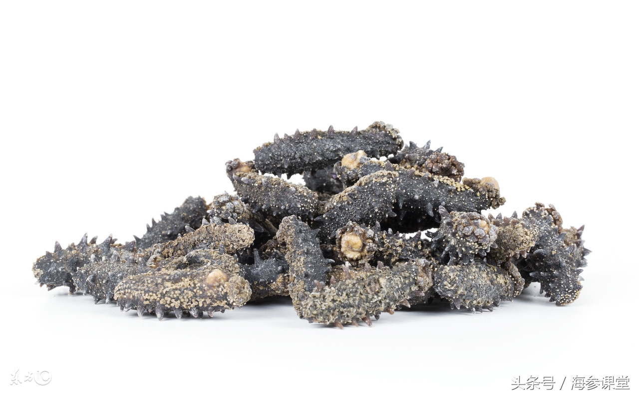 海参品质如何鉴别哪种海参好,海参一周吃几个最佳如何挑选海参