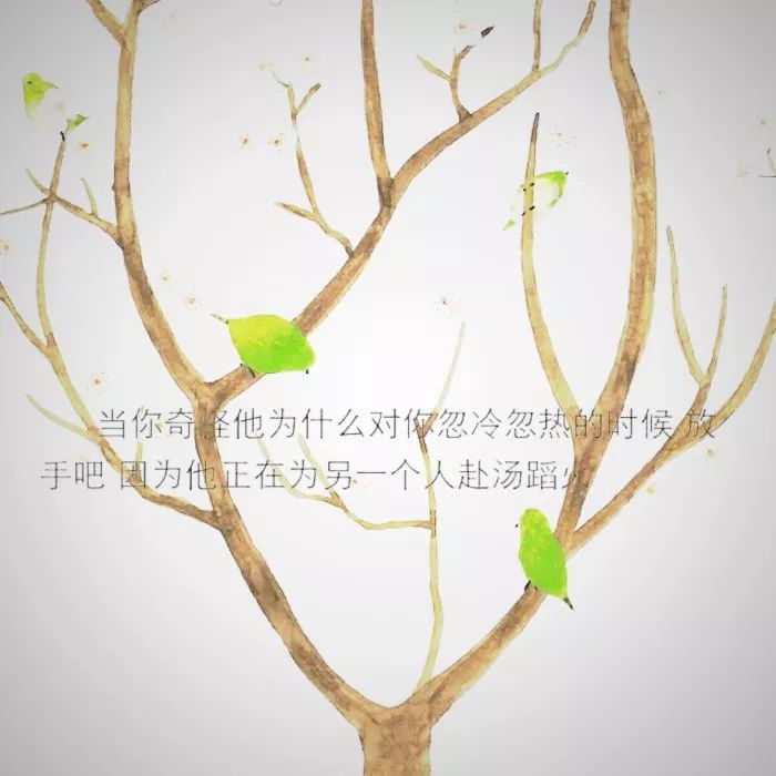 唯美透明头像｜遇见你，我不曾忘却