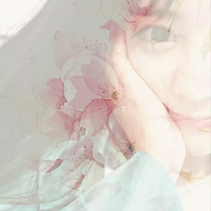 唯美透明头像｜遇见你，我不曾忘却