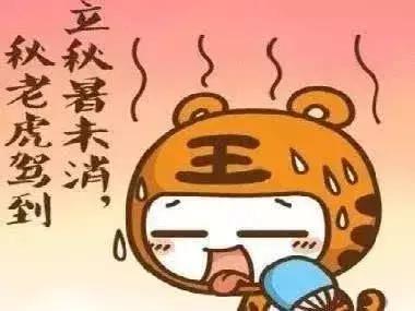 秋天湿热体质怎样进补,中医怎样应对秋老虎