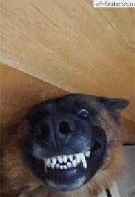 肥唐说：午睡姿势调整不好，医院手术少不了！