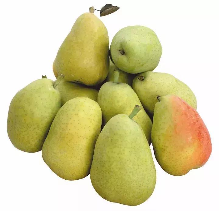 秋天湿热体质怎样进补,中医怎样应对秋老虎