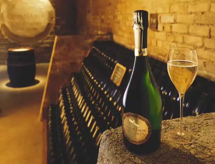 收藏香槟,收藏香槟推荐