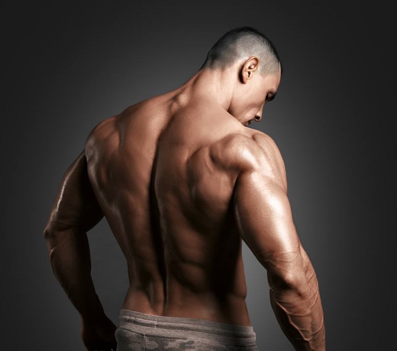 怎么锻炼下背部肌肉最有效,有效的锻炼背部肌肉的方法