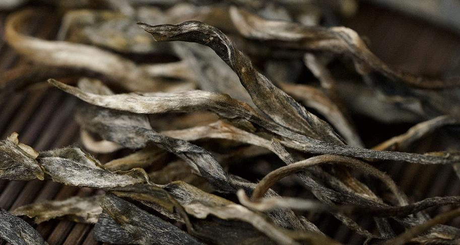 普洱七大茶山简介资料大全及图片,茶山介绍之新六大普洱茶山