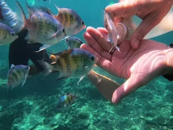 马来西亚沙巴旅游攻略,马来西亚旅游攻略住宿推荐