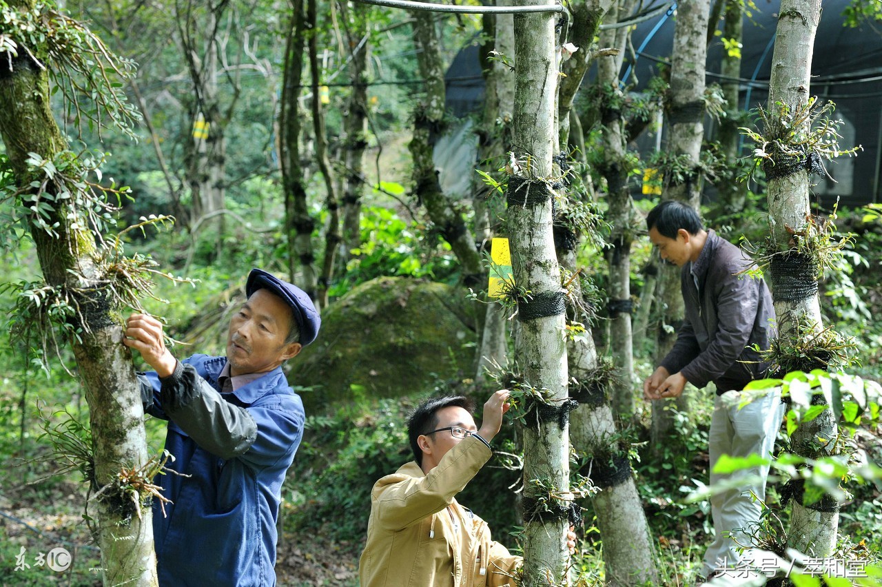 胃病反复发作难受,得了胃病怎么办