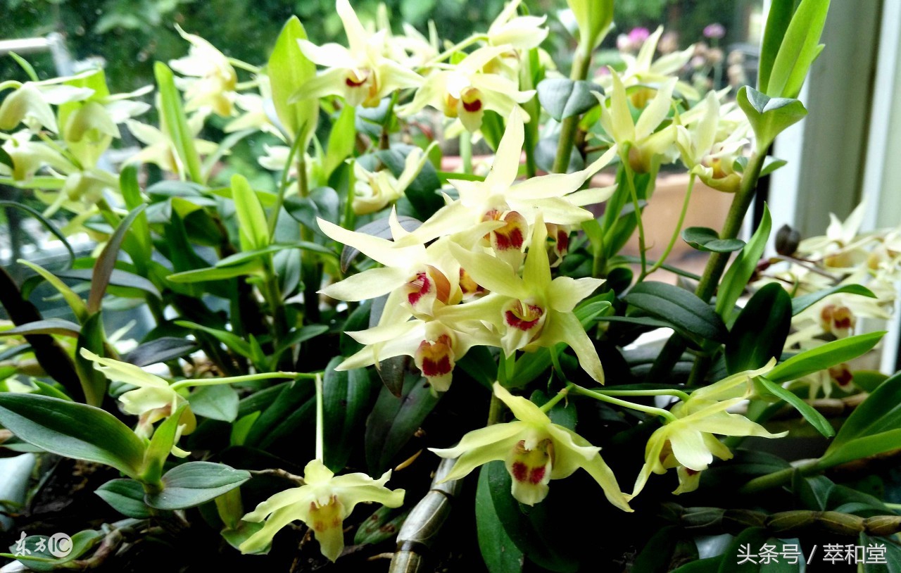 胃病反复发作难受,得了胃病怎么办