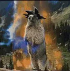 翻完这7个时尚达人的双十一购物车，瞬间觉得自己土爆了