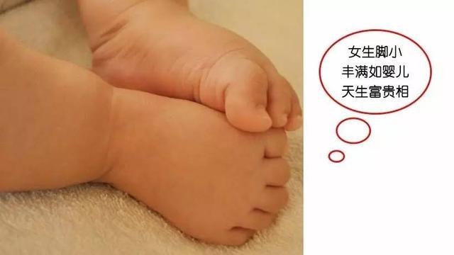 手相脚相对照表,看过完整的手相