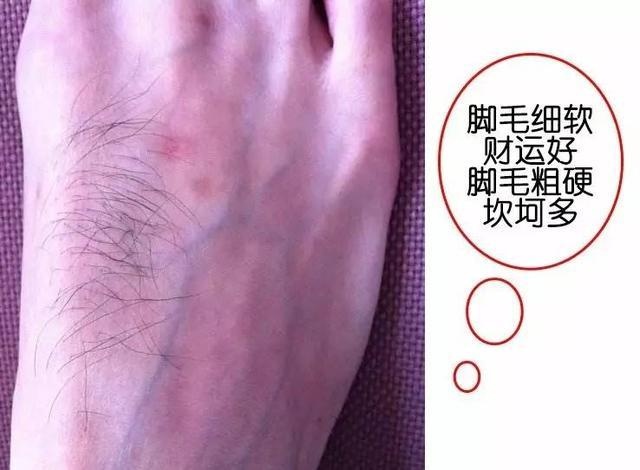 手相脚相对照表,看过完整的手相