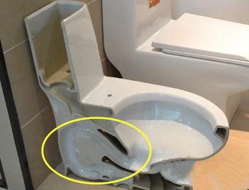 马桶装直冲式还是虹吸式？听老师傅说完，才知为啥我家总是堵
