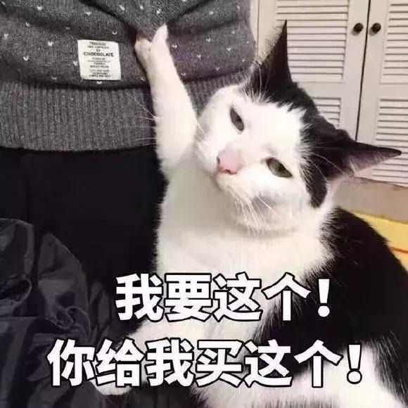 女生双11该买什么小玩意 (双11必买的10件东西)