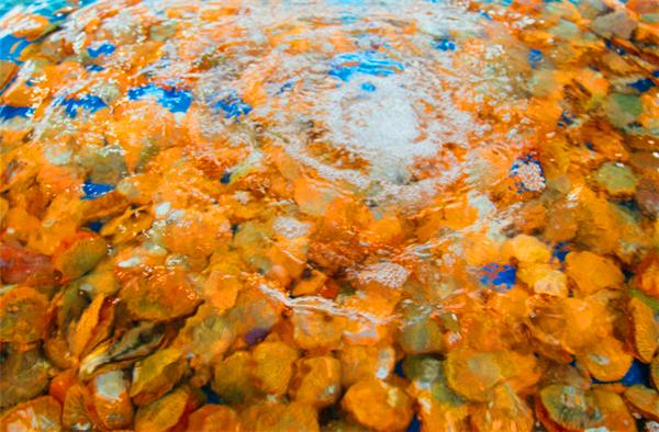 三亚的阳光与海滩,遇见阳光沙滩三亚