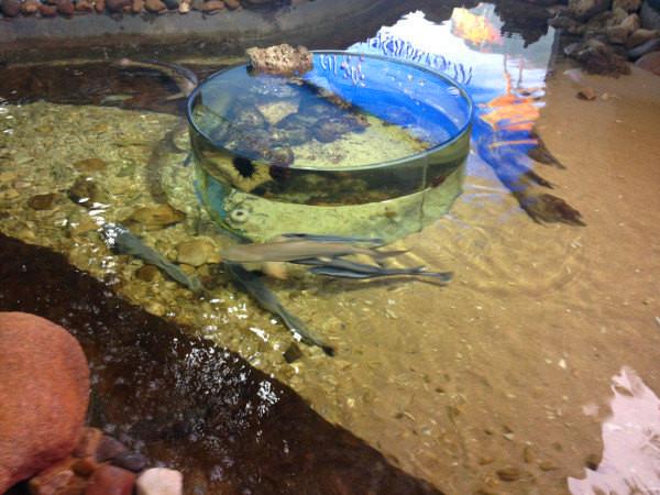 三亚的阳光与海滩,遇见阳光沙滩三亚