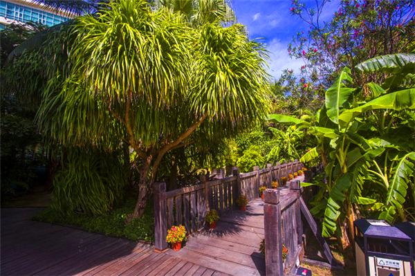 三亚的阳光与海滩,遇见阳光沙滩三亚