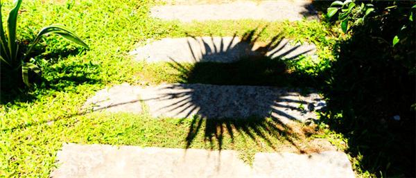 三亚的阳光与海滩,遇见阳光沙滩三亚